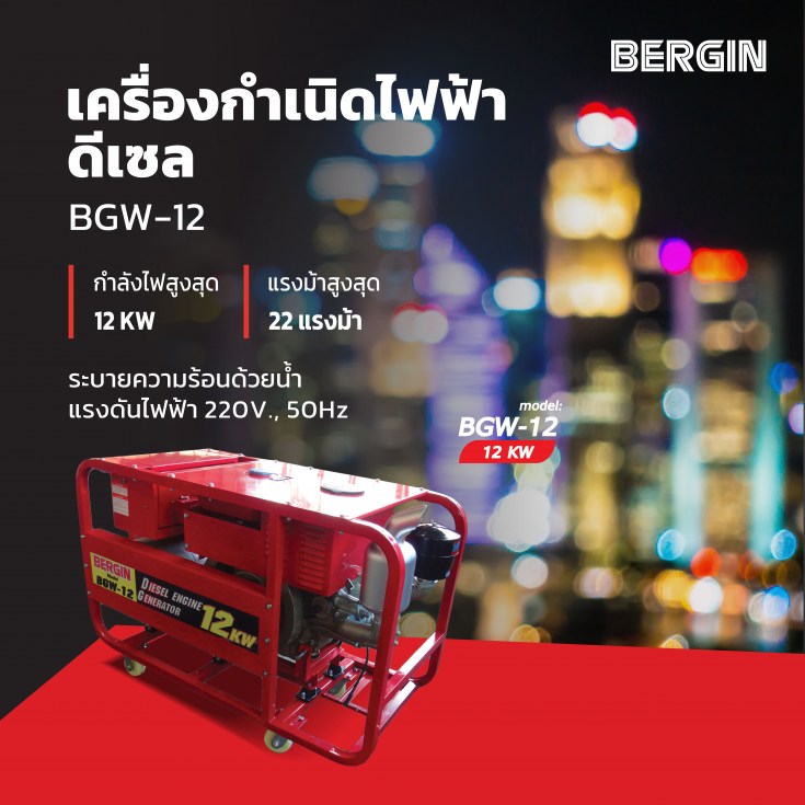 เครื่องกำเนิดไฟฟ้าดีเซล BERGIN BGW-12